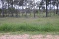 Property photo of 10 Legend Drive Adare QLD 4343
