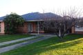 Property photo of 1 Skinner Street Ascot Park SA 5043