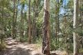 Property photo of 17 Harland Road Mount Glorious QLD 4520