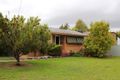Property photo of 960 Burrows Road North Albury NSW 2640