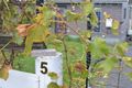 Property photo of 5 Moore Street Erica VIC 3825