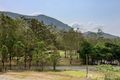 Property photo of 2903 Nerang Murwillumbah Road Natural Bridge QLD 4211