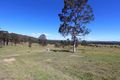 Property photo of 21 Green Wattle Creek Road Butterwick NSW 2321