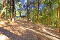 Property photo of 10A Holmes Street Turramurra NSW 2074
