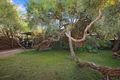 Property photo of 125 Pellatt Street Beaumaris VIC 3193