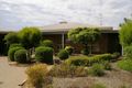 Property photo of 2 Cocos Place Renmark SA 5341