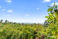 Property photo of 4 Napelle Court Ocean Shores NSW 2483