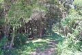 Property photo of 101 Chain O Ponds Road Collombatti NSW 2440