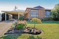 Property photo of 42 Wilson Crescent Narellan NSW 2567