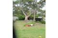 Property photo of 21 Barramundi Avenue North Nowra NSW 2541