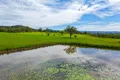 Property photo of 83 Lochinvar Road Wherrol Flat NSW 2429