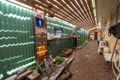 Property photo of 8 Ries Road Toogoom QLD 4655