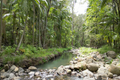 Property photo of 76 Cedar Creek Falls Road Tamborine Mountain QLD 4272