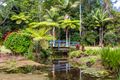 Property photo of 17 Brigadoon Court Flaxton QLD 4560
