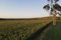 Property photo of 9468 Mitchell Highway Apsley NSW 2820