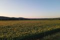 Property photo of 9468 Mitchell Highway Apsley NSW 2820