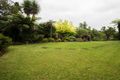 Property photo of 47 Cook Avenue Surf Beach NSW 2536