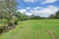Property photo of 423 Martinsville Road Martinsville NSW 2265