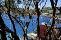 Property photo of 5/77 Fitzwilliam Road Vaucluse NSW 2030