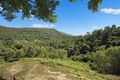 Property photo of 680 Browns Creek Road Eerwah Vale QLD 4562