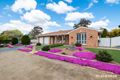 Property photo of 58 Costello Circuit Calwell ACT 2905