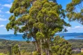 Property photo of 7 Wishart Place Denmark WA 6333