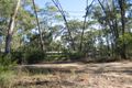 Property photo of 19 Rocky Hall Place Wilberforce NSW 2756
