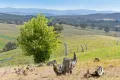 Property photo of 188 Newington Road Bywong NSW 2621