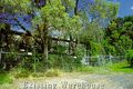 Property photo of 22 George Street Paddington NSW 2021