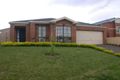 Property photo of 19 St Annes Crescent Berwick VIC 3806