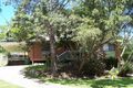 Property photo of 5 Nabal Street Bli Bli QLD 4560