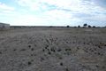 Property photo of 100 Investigator Road Port Victoria SA 5573