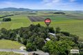 Property photo of 151 Clothiers Creek Road Nunderi NSW 2484