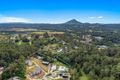 Property photo of 41 Crescent Road Eumundi QLD 4562