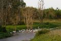 Property photo of 530 Anzac Parade Middle Point NT 0822