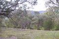 Property photo of 199 Ti Tree Drive Eildon VIC 3713