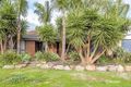 Property photo of 17 Buttercup Grove Blakeview SA 5114