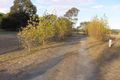 Property photo of Watts Gully Road Gumeracha SA 5233