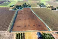 Property photo of LOT 2 Tarcoola Street Renmark SA 5341