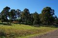 Property photo of 25 Woodlands Drive Hallidays Point NSW 2430