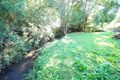 Property photo of 14 Palm-Lily Crescent Bangalow NSW 2479