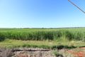 Property photo of 115 Lucketts Road Doolbi QLD 4660