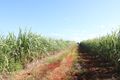Property photo of 115 Lucketts Road Doolbi QLD 4660