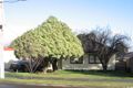 Property photo of 27 Tobias Avenue Glen Waverley VIC 3150