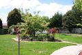 Property photo of 12 White Avenue Romsey VIC 3434