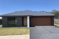 Property photo of 29 Sapling Road Karuah NSW 2324