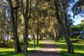 Property photo of 67 Waterloo Street Narrabeen NSW 2101