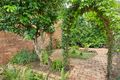 Property photo of 11 Sardinia Place Birchgrove NSW 2041