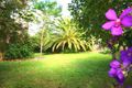 Property photo of 16 Coles Creek Road Cooran QLD 4569
