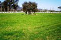 Property photo of 1746 Goolma Road Two Mile Flat NSW 2852